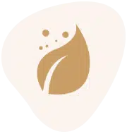 bio vegan nyssae skincare 1